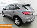 Ford Kuga 1.5 EcoBlue Aut Titanium X TechnoPak+B&O - mit Diesel-Antrieb: Scheckheftgepflegt