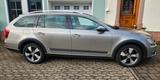 Skoda Octavia 2.0 TDI DSG 4x4 Scout Combi Allrad - Skoda Octavia mit Diesel-Antrieb: Beige, Kombi