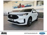 Ford Kuga 2.5 FHEV ST-LINE NAVI LED KAMERA PDC W.Pkt - Ford Kuga Neuwagen in Duisburg