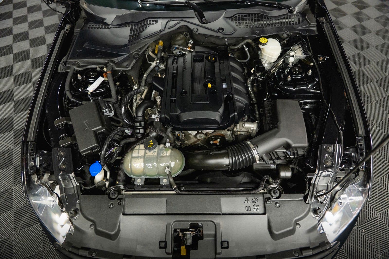 Fahrzeugabbildung Ford Mustang Shelby Coupe GT 350 Package Dark Horse