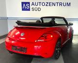 Volkswagen Beetle Cabriolet Sport DSG SHZ Leder NAV - VW Beetle Gebrauchtwagen in Berlin