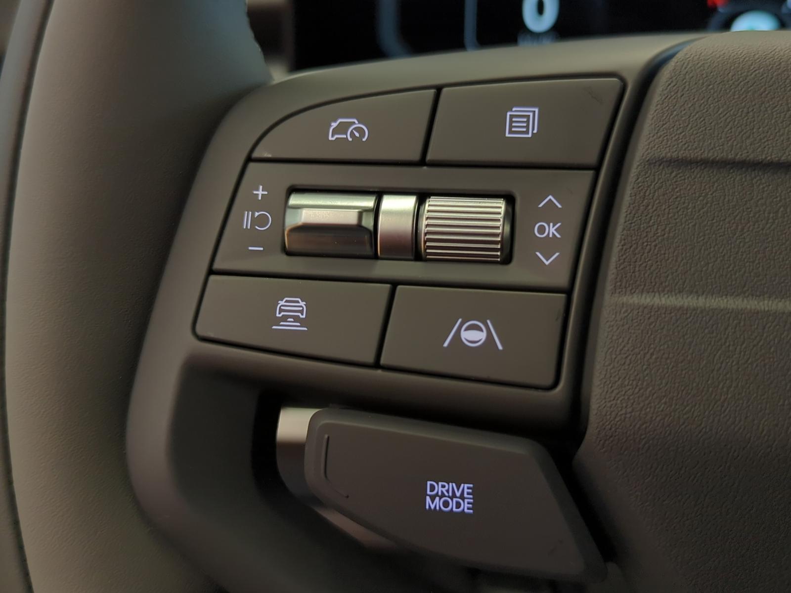 Kia KIA EV3 EARTH 81.4 kWh WINTER-PAKET+NAVI+KAMERA+
