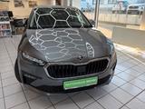 Skoda Scala Selection/1.0 TSI 116 PS/DSG/TOTWINKEL/SHZ - Skoda Scala Tageszulassungen