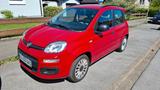 Fiat FIAT Panda in gute Hände ab zu geben...  - Fiat Panda in Hagen