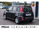 Fiat Panda Hybrid 1.0 GSE NEUES MODELL 2024 CITY TEMP - Fiat Panda: 2.1