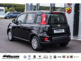 Fiat Panda Hybrid 1.0 GSE NEUES MODELL 2024 CITY TEMP - mit Benzin-Antrieb: Kleinwagen, 1.0