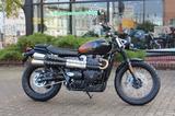 Triumph Scrambler  900 "Stealth Edition"