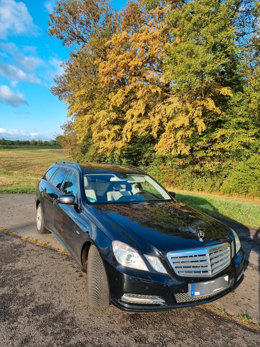 Mercedes-Benz E250 2011 — rear view