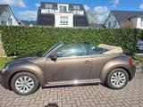 Volkswagen Beetle 1.2 TSI BMT Cabriolet - in toller Farbkom - gebrauchte VW Beetle aus dem Jahr 2015
