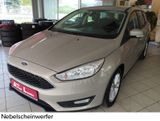Ford Focus Business 1.6-Kein Ecoboost-Bluetooth-Tempo - Ford Focus mit Benzin-Antrieb: Kombi, 1.6