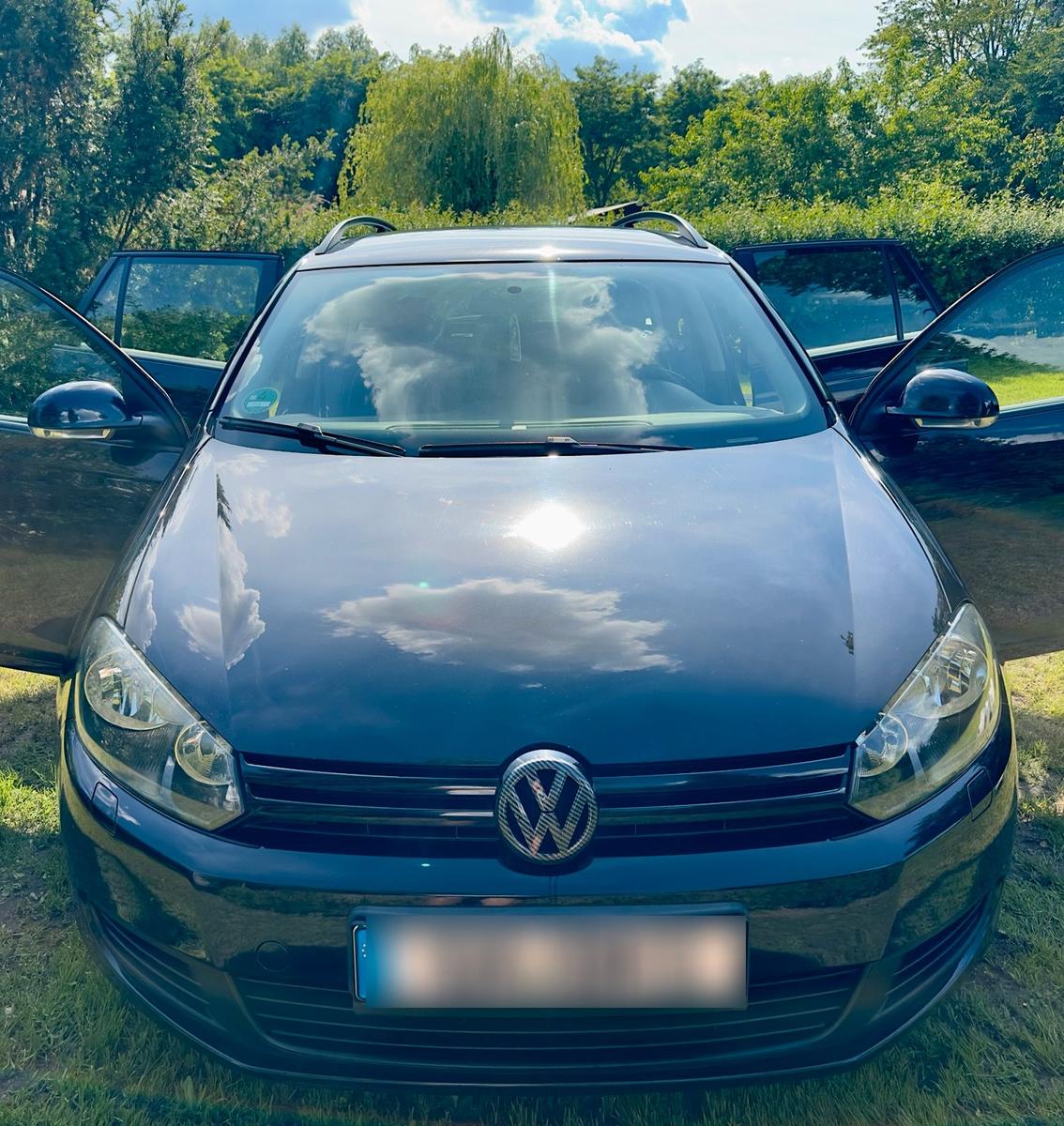 Volkswagen Golf 2010 — rear view