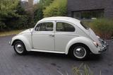 Volkswagen Käfer 1200 Export Faltdach 2. Hand 60tkm  - Volkswagen Käfer Oldtimer