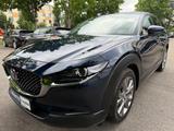 Mazda CX-30 Selection PREMIUM-DESIGN-P/360 KAM/LED - Mazda CX-30 in München