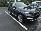 BMW X3 xDrive30d Luxury Line AT Luxury Line - BMW X3: Braun