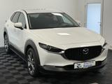 Mazda CX-30 SKYACTIVE-X AWD Automatik LED ACC AHK HUD - Mazda CX-30 Benzin Gebrauchtwagen