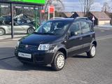 Fiat Panda 1.2 8V Climbing  4X4 **KLIMA**1-HAND** - Fiat Panda: 4.4