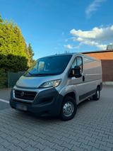 Fiat Ducato 250 2.3 Multijet Transporter - Fiat: Transporter