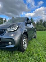 Smart ForFour  - Passion Turbo  - 1. Hand - wenig KM - Smart ForFour von privat