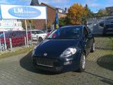 Fiat Punto STREET 1,2 KLIMA - Fiat Punto in Köln