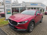 Mazda CX-30 2.0 SKYACTIV-X M-Hybrid AWD Selection - Mazda CX-30 in Dresden
