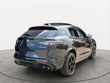 Alfa Romeo Stelvio Quadrifoglio 2.9 V6 520PS *Pano*21Zoll* - Alfa Romeo: Quadrifoglio