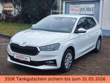 Skoda Fabia Selection 95PS Tempomat SHZ PDC Klimaauto