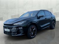 Cupra Terramar - Vorschau Bild 3