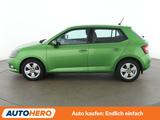 Skoda Fabia 1.2 TSI Style *TEMPO*PDC*SHZ* - Skoda: Grün