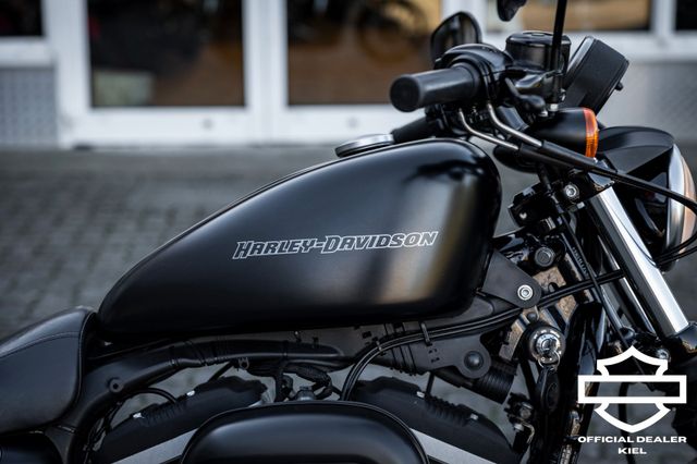 Fahrzeugabbildung Harley-Davidson XL883N SPORTSTER IRON - HEIZGRIFFE - Wartung neu