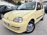 Fiat Seicento 1.1 benzina idroguida 49000km - Fiat Seicento aus 2005