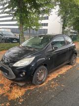 Ford Ka Trend (2009) - Ford Ka/Ka+ in Bielefeld