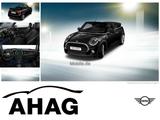 MINI Cooper Cabrio Navi Prof. Aut. Klimaaut. PDC - MINI Cooper Cabrio: Automatik