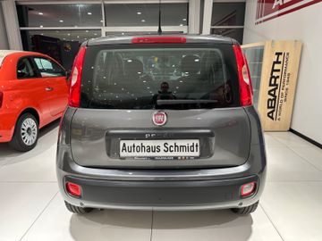 Bild 8 Fiat Panda Easy