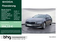 Skoda Octavia - Vorschau Bild 1