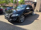 Audi SQ5 3.0 TDI quattro Competition S-LINE SCHECK... - Audi SQ5 in Essen