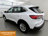 Ford Kuga 2.5Hybrid 4x4 Titanium iACC+ParkAss+Kam+SHZ - mit Hybrid-Antrieb: Geländewagen