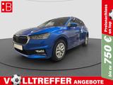 Skoda Fabia 1.0 TSI DSG Selection 15 LED ACC SHZ VIRTU - Automatik Gebrauchtwagen in Ingolstadt