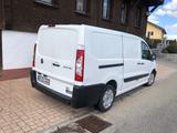 Fiat Scudo Kühl- Kastenwaagen - Fiat Scudo