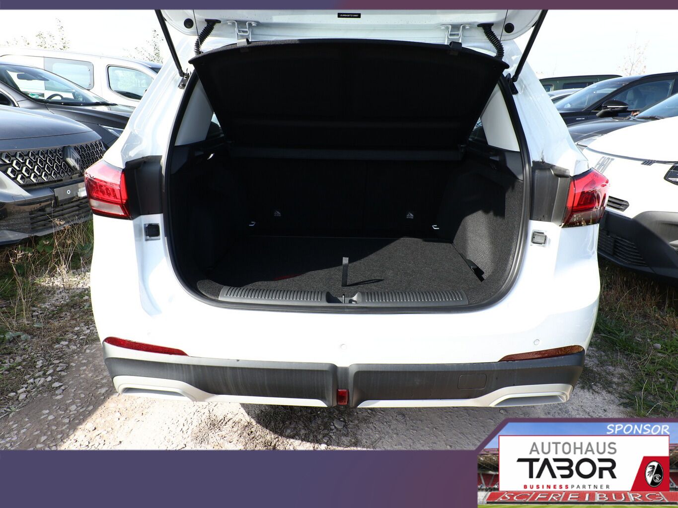 MG ZS - Bild 12