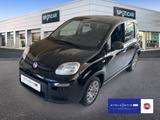 Fiat Panda 1.0 Mild Hybrid - Fiat Panda aus 2024