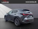 Lexus NX 350h h 243PS Executive Interi eur Paket + Tec - Lexus NX 350h Neuwagen