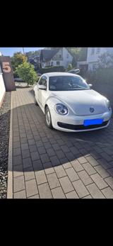Volkswagen Beetle 1.8 TSI DSG - Volkswagen Beetle mit Benzin-Antrieb: 1.8