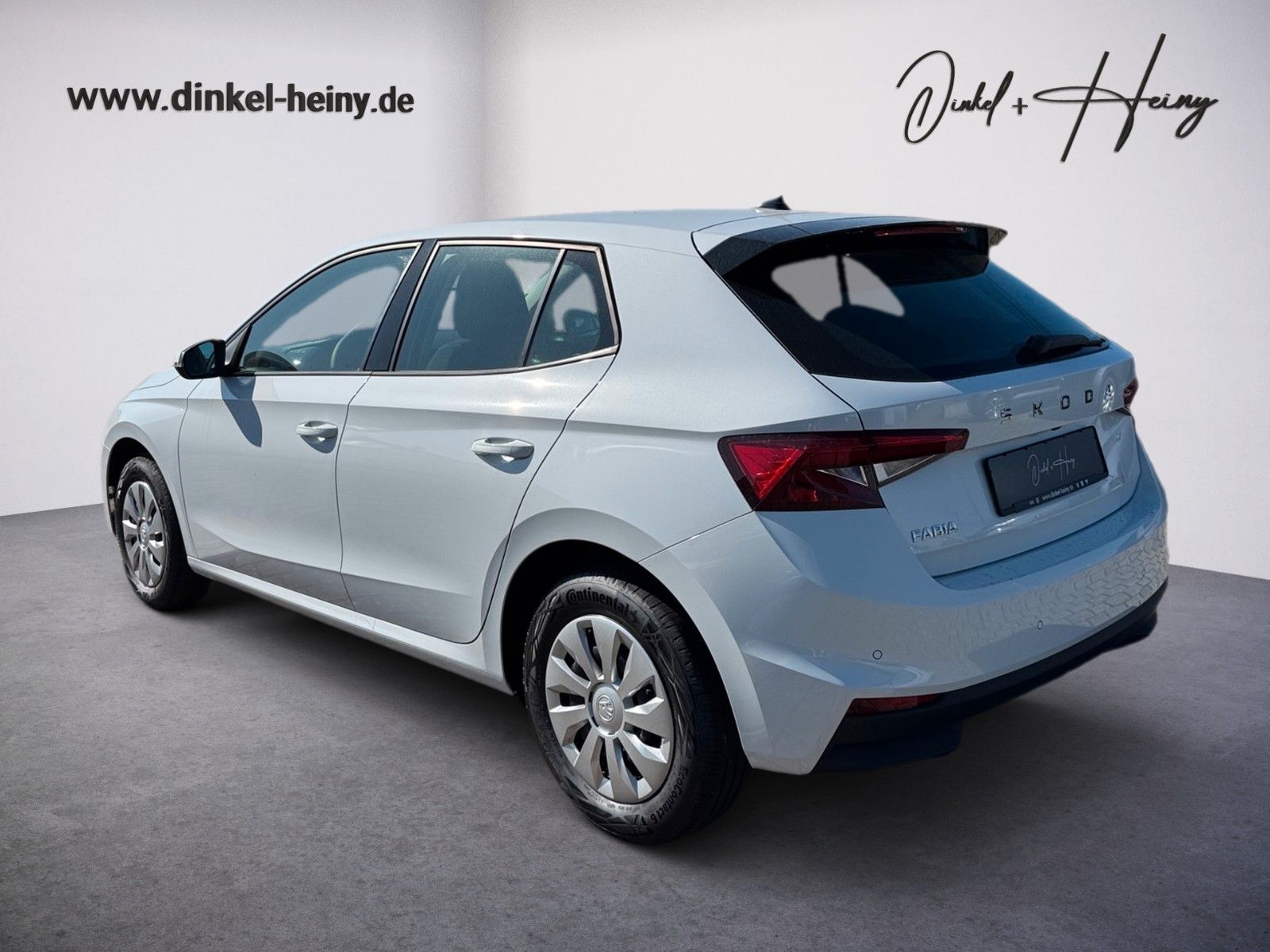 Fahrzeugabbildung SKODA Fabia Selection 1.0TSI