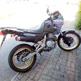 Honda NX 650 - HONDA NX 650