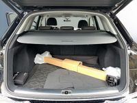 Audi Q5 - Vorschau Bild 17