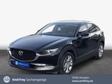 Mazda CX-30 2.0 M-Hybrid SELECTION Bose Matrix LED - Mazda CX-30 in Dresden