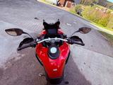 Ducati Multistrada V4 Rally - Ducati Multistrada V4 Rally