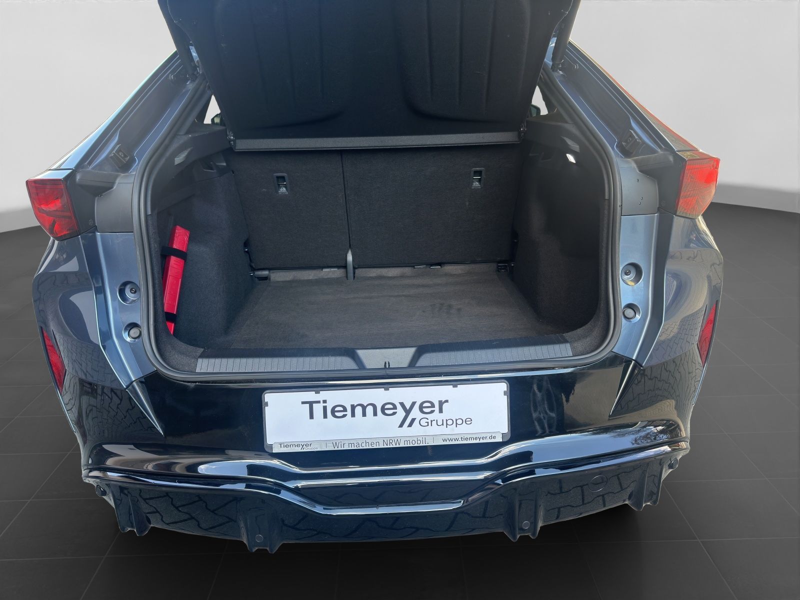 Cupra Tavascan - Bild 17