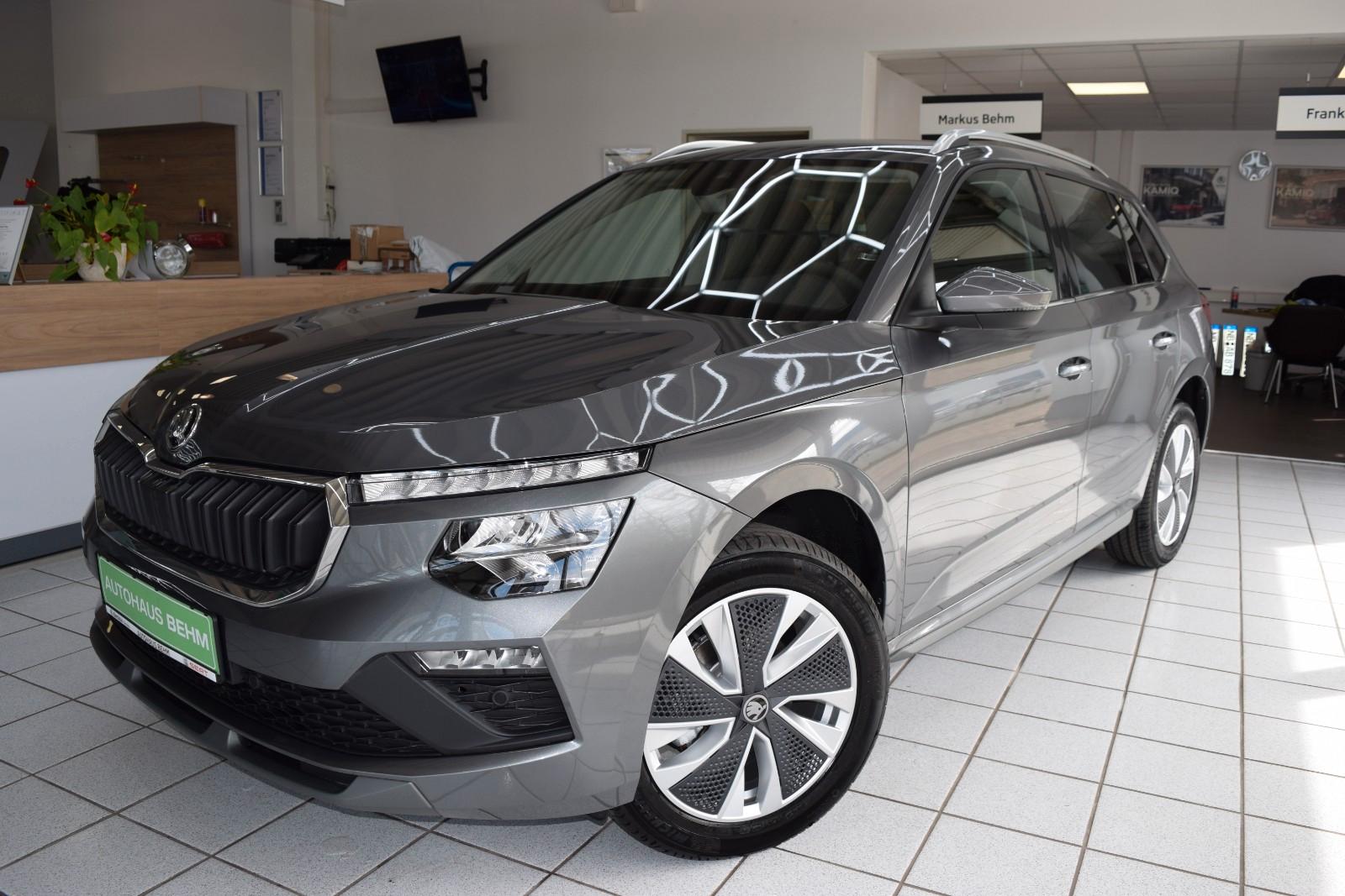 Skoda Kamiq Selection 1.0 TSI DSG/116PS/CAM/SHZ/LED