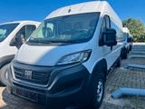 Fiat DUCATO L5H2 140 Klima*Tempomat*Kamera*DAB*BT - Fiat Ducato in Hannover